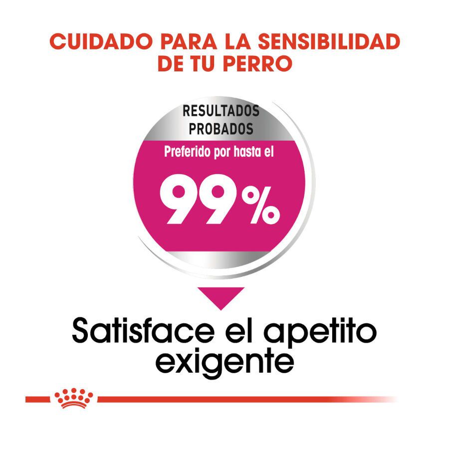 Royal Canin Exigent Mini pienso para perros thumbnail