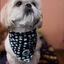 BANDANA FRENCHTOUTOU TURQUESA, , large indicador imagen numero 4