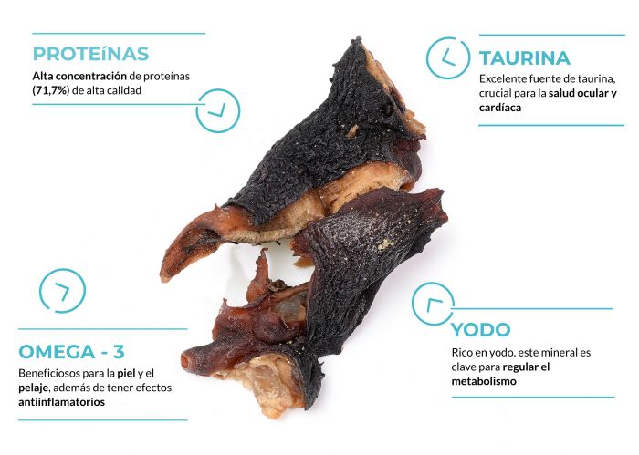 Cabeza de pulpo, , large Imagen numero 2