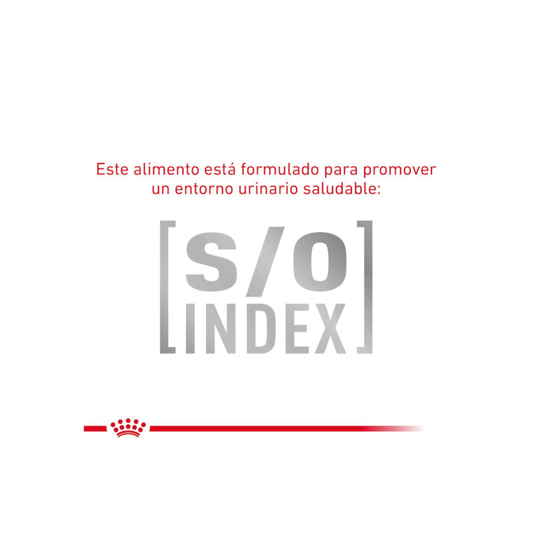 Royal Canin GastroIntestinal Low Fat pienso para perros pequeños thumbnail