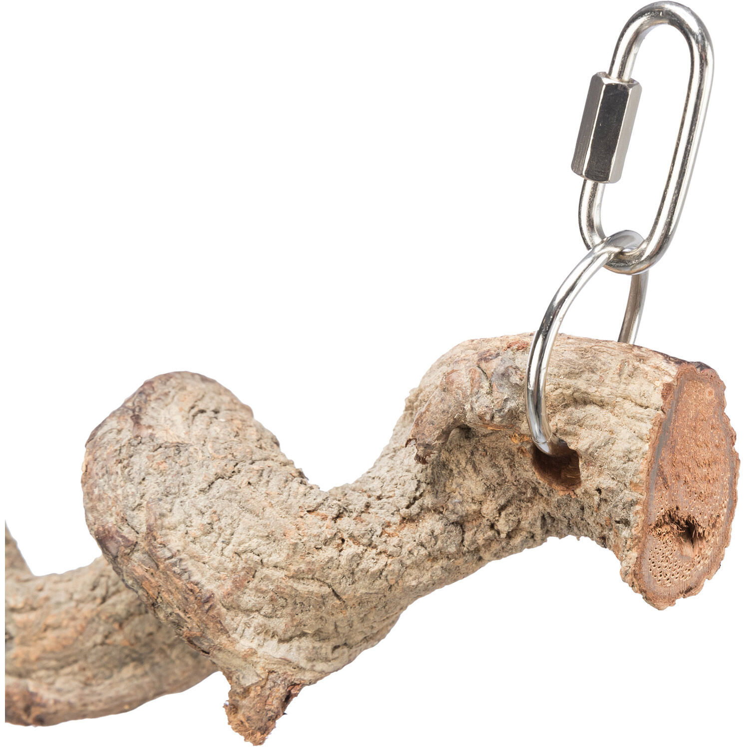 Rama colgante, , large Imagen numero 2