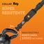 Weenect XT - Collar GPS para perro (Negro), , large indicador imagen numero 2