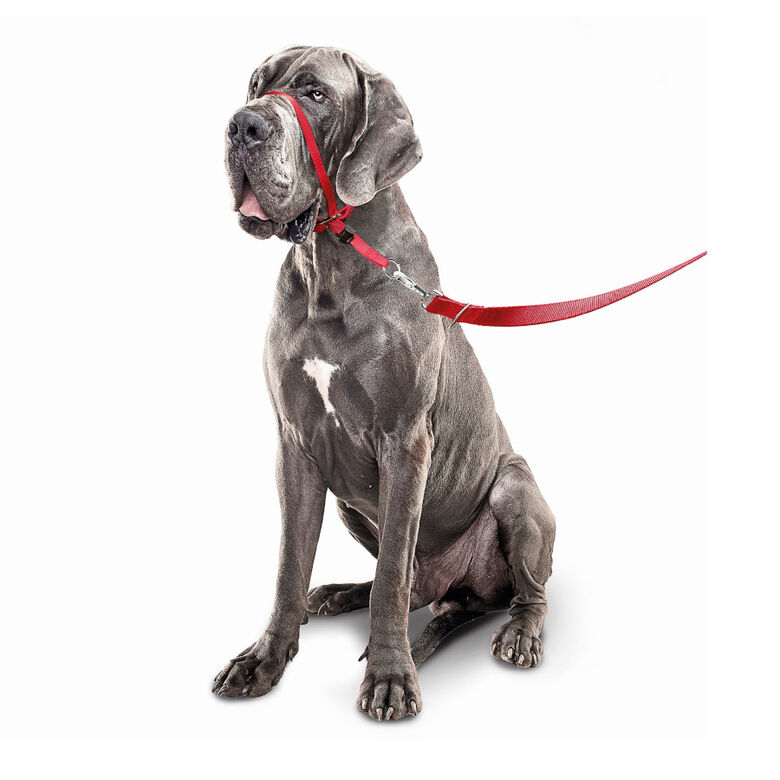 Beaphar Gentle Leader Collar de adiestramiento Rojo para perros thumbnail