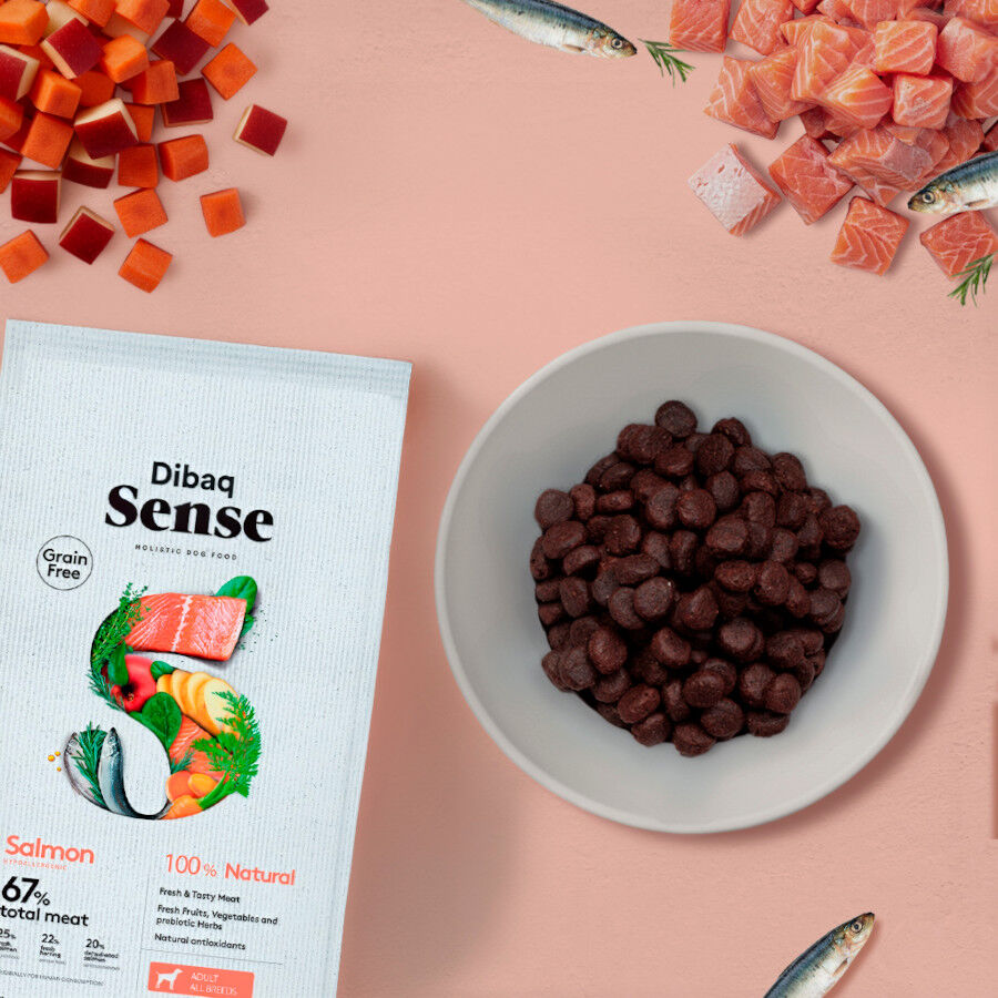 12 Kg Dibaq Sense Pienso Grain Free Salm&oacute;n para perros, , large Imagen numero 3
