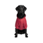 Gotoo Abrigo Impermeable Reflectante Rojo para perros, , large indicador imagen numero 7