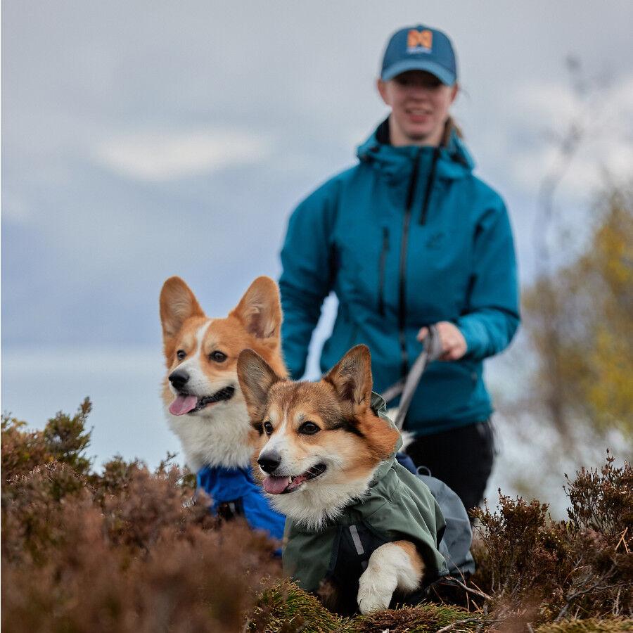 Non-stop dogwear Fjord Chubasquero Impermeable Azul para perros, , large Imagen numero 5