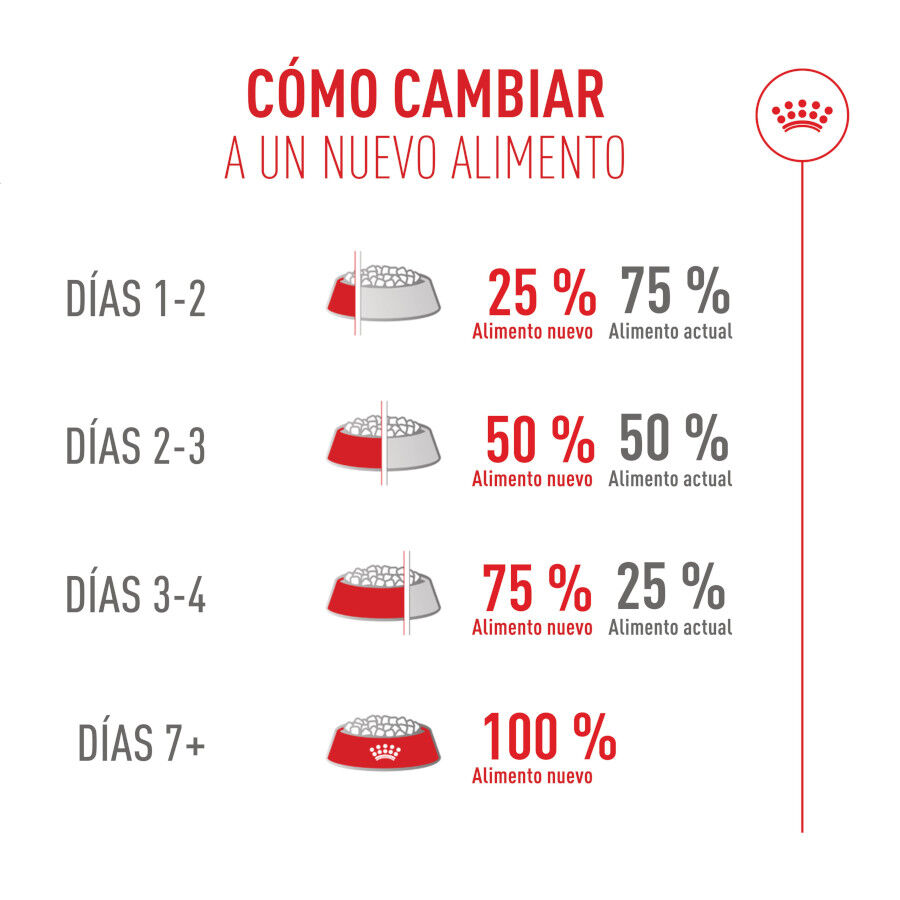 10 kg Royal Canin Fussy Exigent Pienso Ave para gatos, , large Imagen numero 11