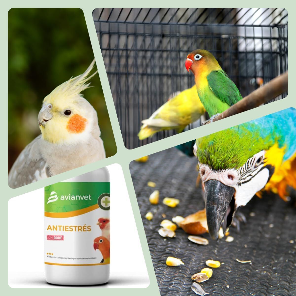 Avianvet Suplemento Antiestrés para aves thumbnail