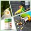 Avianvet Antiestrés Suplemento para aves (100 ml), , large indicador imagen numero 3