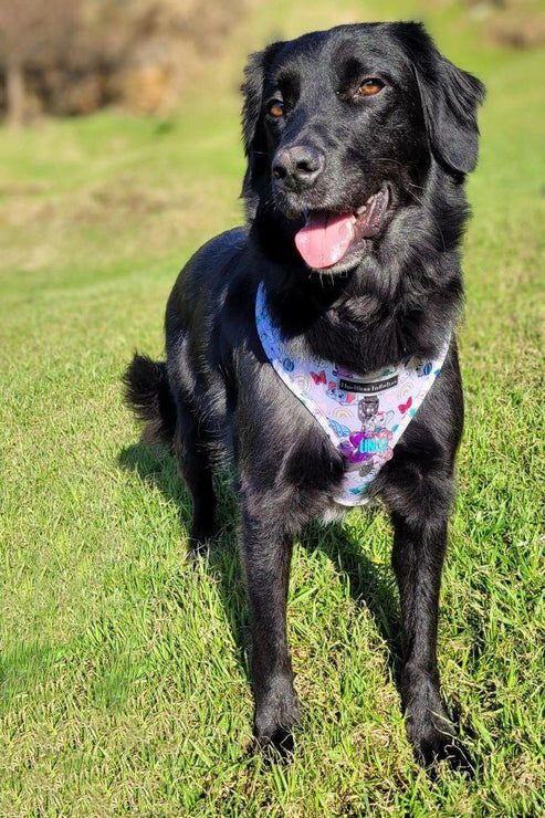 FUNNY ELEPHANTS, , large Imagen numero 5