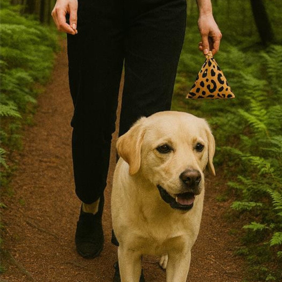 Nice Care Premium Bolsitas Print Rollos para perros, , large Imagen numero 4