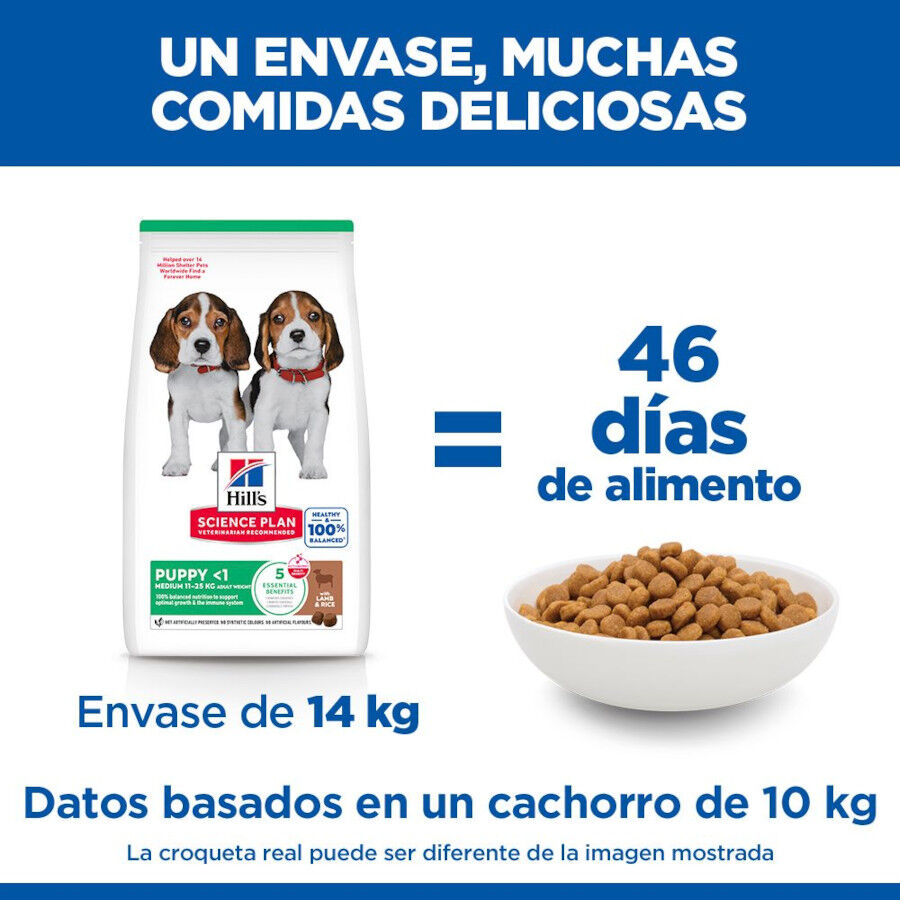 14 kg Hill's Science Plan Puppy Medium Cordero y arroz Pienso para perros, , large Imagen numero 6