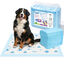 Nobleza Empapadores Perros 50 Unidades 90x90 cm, Alfombrillas Absorbentes Desechables con Dise&ntilde;o Estampado, Pa&ntilde;ales para Perros y Cachorros Antifugas y Antiolores, , large indicador imagen numero 1