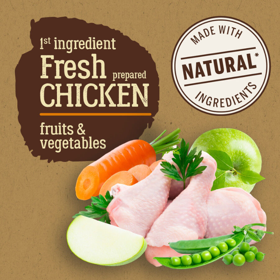 True Origins Pure Puppy Pollo pienso para perros thumbnail