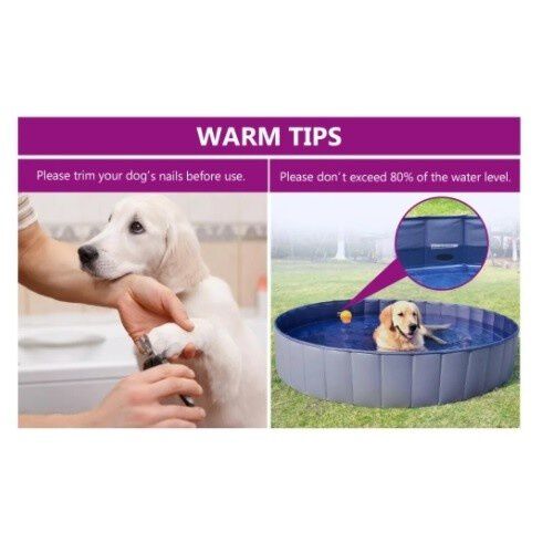 Piscina para perros color Rojo y Azul, , large Imagen numero 6