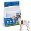 Nobleza Pañales para Perros Desechables, , large indicador imagen numero 1