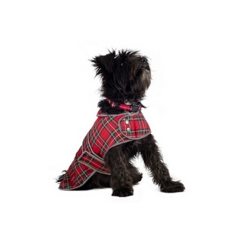 Abrigo Highland para perros color Tartán Rojo, , large image number null