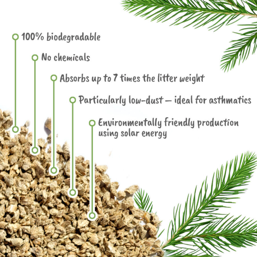 Golden Grey Pino Arena Aglomerante para gatos, , large Imagen numero 7