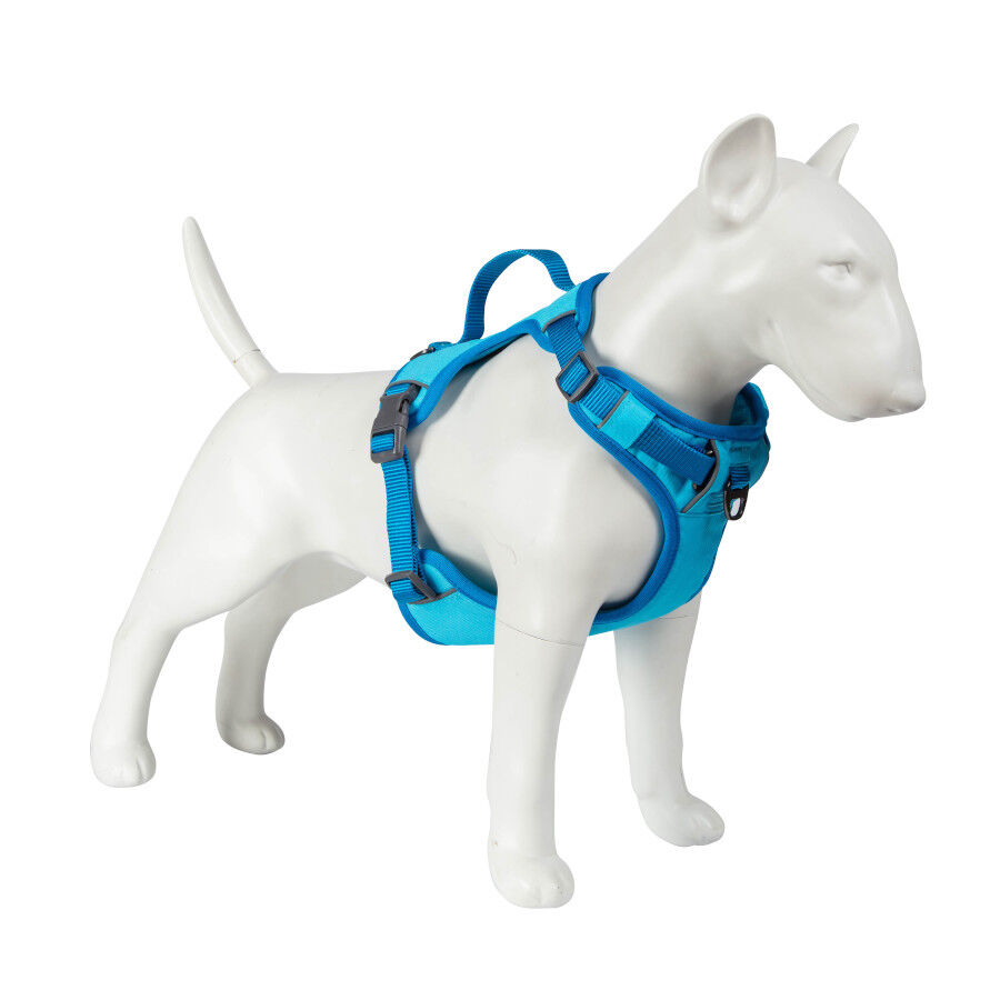 Freedog Cool Pro Tech Arn&eacute;s Refrescante Azul para perros, , large Imagen numero 10