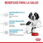 Royal Canin Starter Puppy Giant Pienso para perros, , large image number null