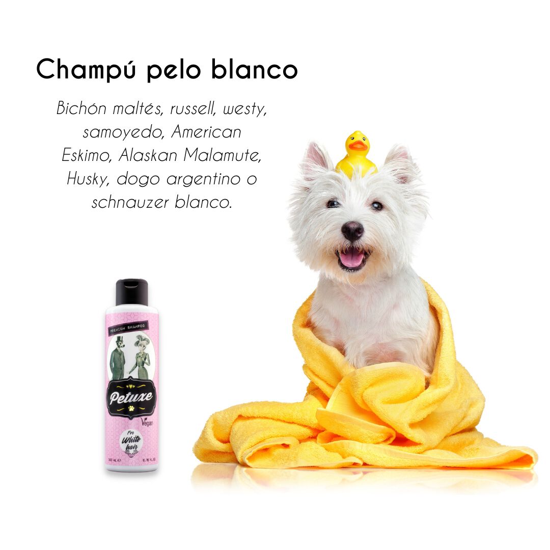 Petuxe champ&uacute; vegano para mantos blancos para mascotas, , large Imagen numero 5