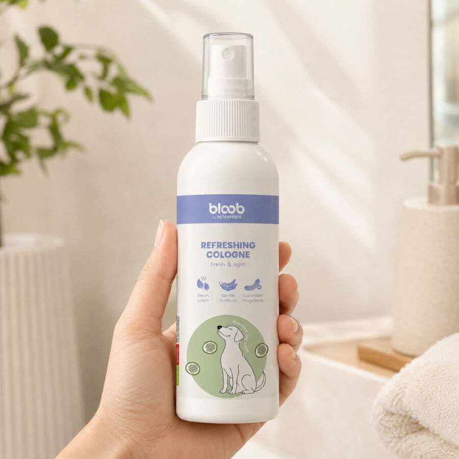 Bloob Colonia Refrescante Pepino para perros, , large Imagen numero 1