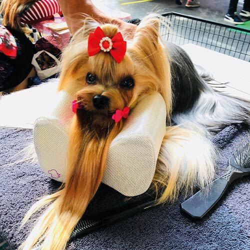 Almohada Ib&aacute;&ntilde;ez ALMOHADA IB&Aacute;&Ntilde;EZ PEQUE&Ntilde;A, , large Imagen numero 2