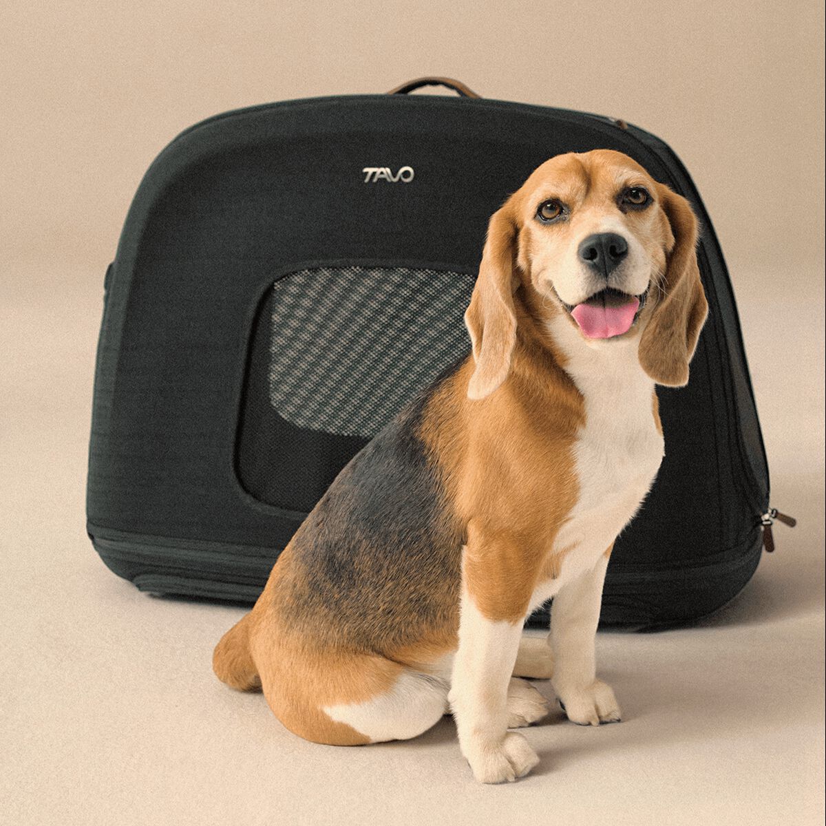 TAVO Crispin Transport&iacute;n para Perros y Gatos Onyx Large, , large Imagen numero 5