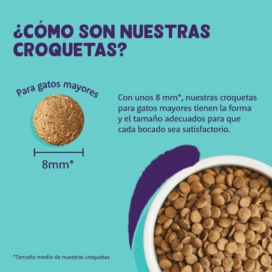 Edgard &amp; Cooper Senior Pollo y Pavo pienso para gatos thumbnail