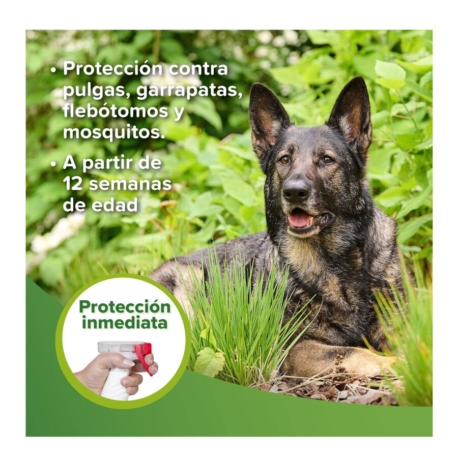 Beaphar Loci&oacute;n Repelente Perro y Gato, , large Imagen numero 3