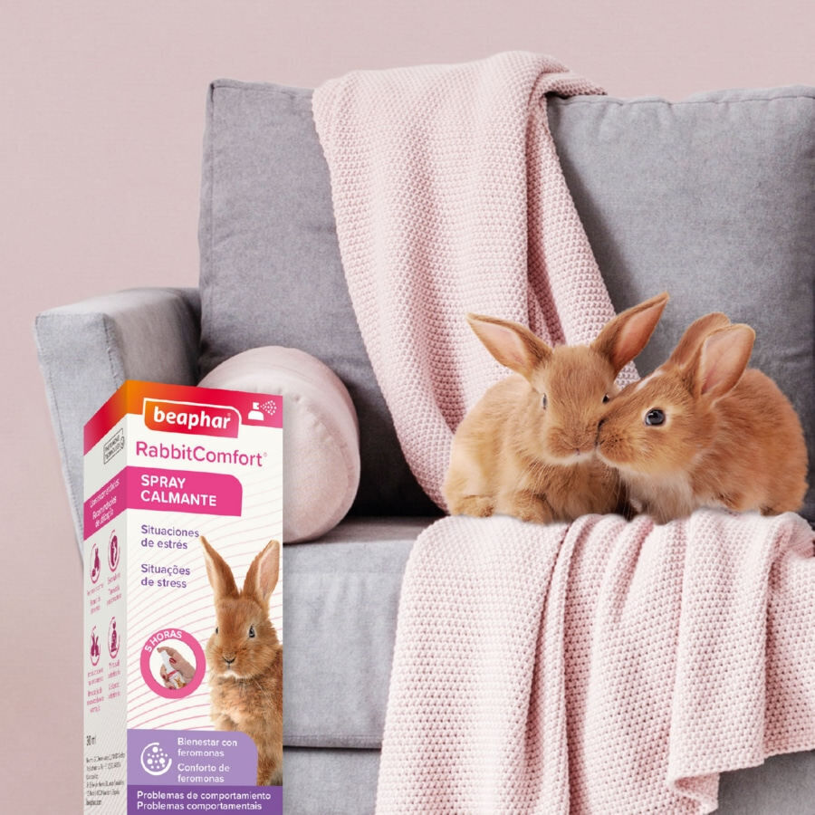Beaphar RabbitComfort Spray Tranquilizante para conejos thumbnail