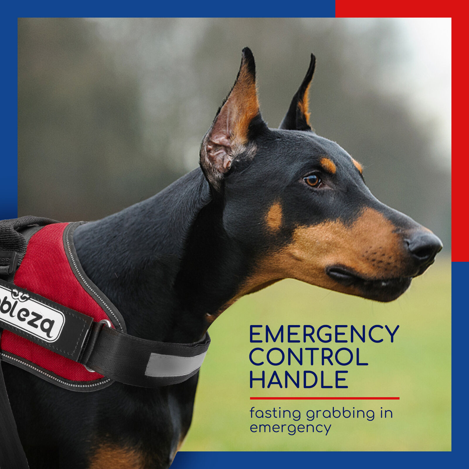 Nobleza - Arn&eacute;s Antitirones Perro, Arn&eacute;s Perro Reflectante Ajustable, Incluye 2 Etiquetas de Logotipo Desmontables, C&oacute;modo Transpirable Arn&eacute;s Chaleco para Perros Peque&ntilde;os, Medianos y Grandes, Rojo(M), , large Imagen numero 5