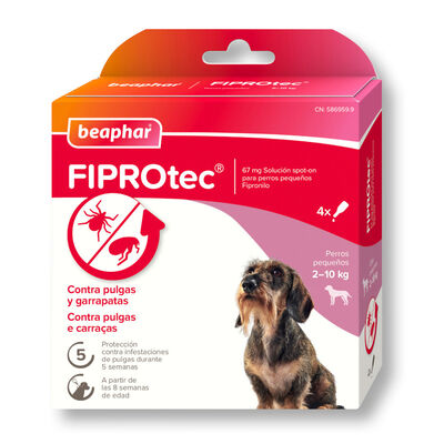 Beaphar FiproTec Pipetas para perros de razas pequeñas