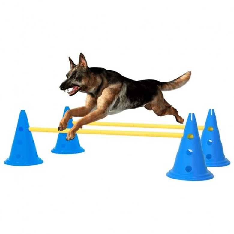 Vidaxl obstáculo de actividades azul para perros, , large image number null