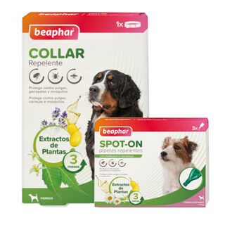 Beaphar Pack Pipetas y Collar Repelente para perros