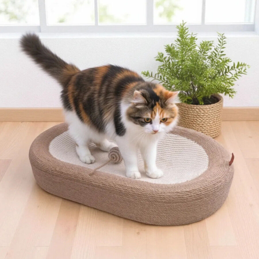 Althea Living - Rascador de sisal para gatos Isla. 2 en 1: cama y rascador, , large Imagen numero 5