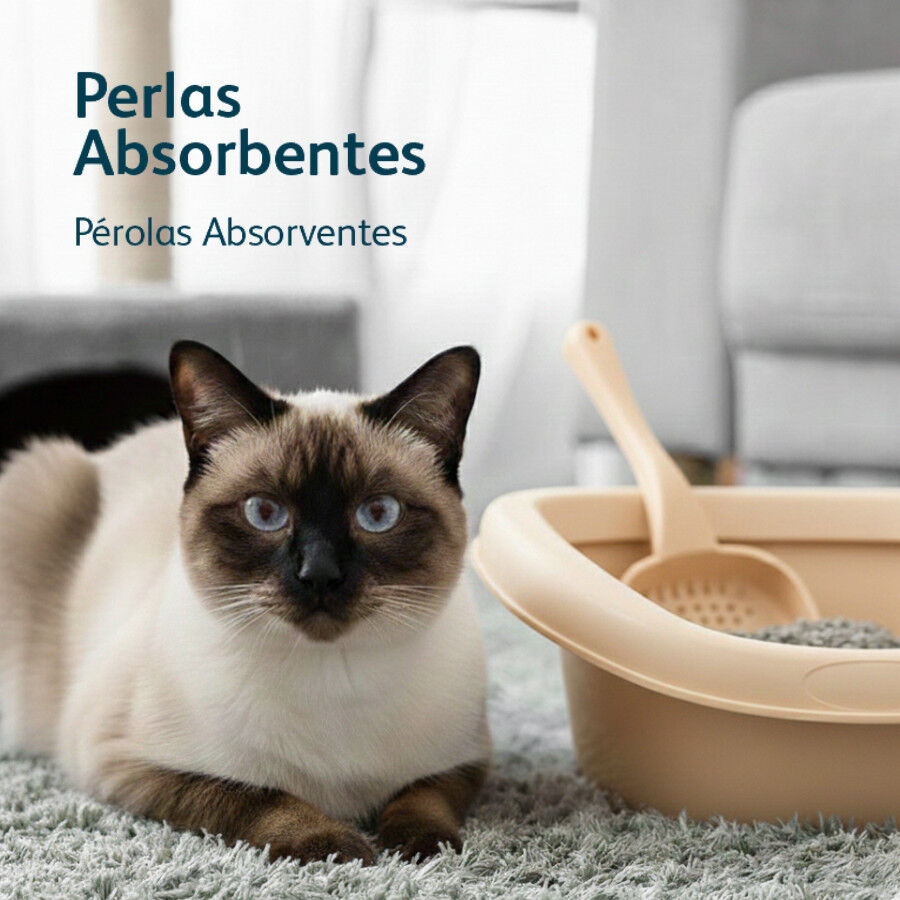 4 L Nova Clean Perlas Absorbentes para gatos, , large Imagen numero 5