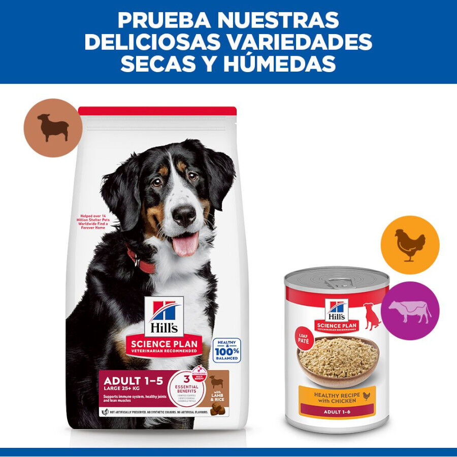 2 x 14 kg Hill's Science Plan Adult Large Cordero pienso para perros &iexcl;Pack ahorro!, , large Imagen numero 8