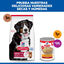 14 kg Hill's Science Plan Adult Large Cordero pienso para perros, , large indicador imagen numero 8