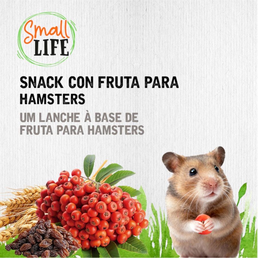 2 barritas Small Life Barritas Snack con Fruta para h&aacute;mster, , large Imagen numero 4