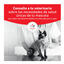 1.5 kg Royal Canin Veterinary Urinary S/O Moderate Calorie pienso para gatos, , large indicador imagen numero 3