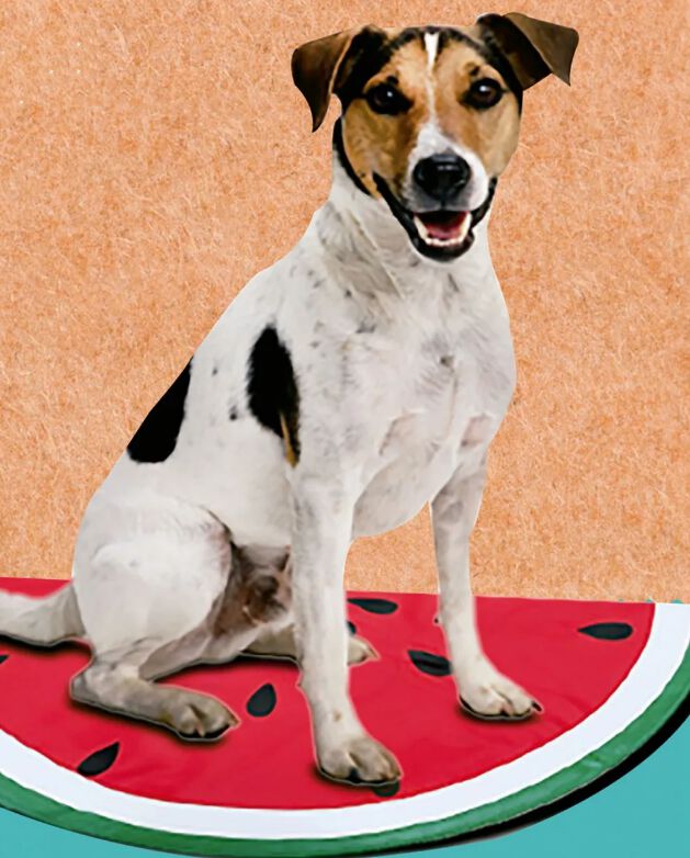 Alfombra Fresh Sandia-Limon 29*45cm, , large Imagen numero 2