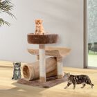 Árbol rascador PawHut para gatos color Crema, , large image number null