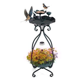 COSTWAY Comedero Exterior Jard&iacute;n Verde para p&aacute;jaros