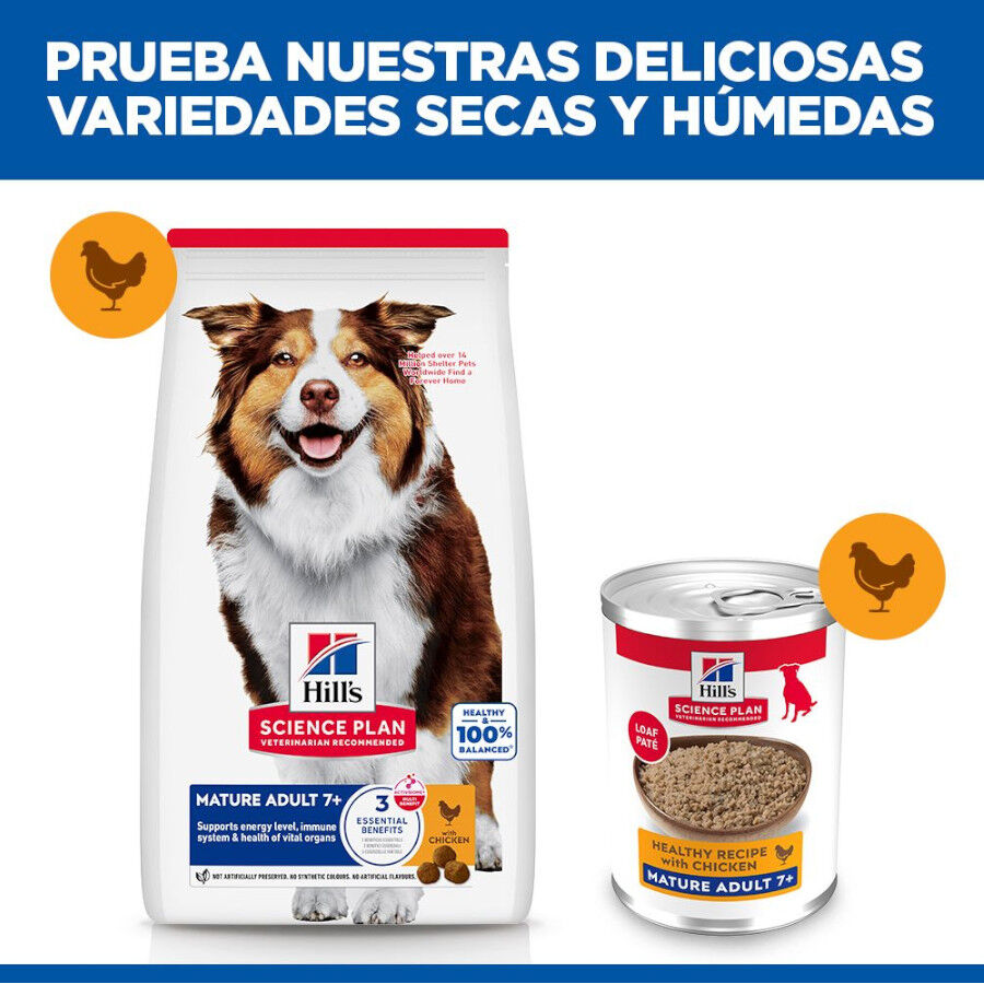 370 g Hill's Science Plan Mature 7+ Adult pollo lata para perros, , large Imagen numero 6