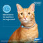 1 collar x 38 cm Seresto Collar Antiparasitario para gatos, , large indicador imagen numero 4