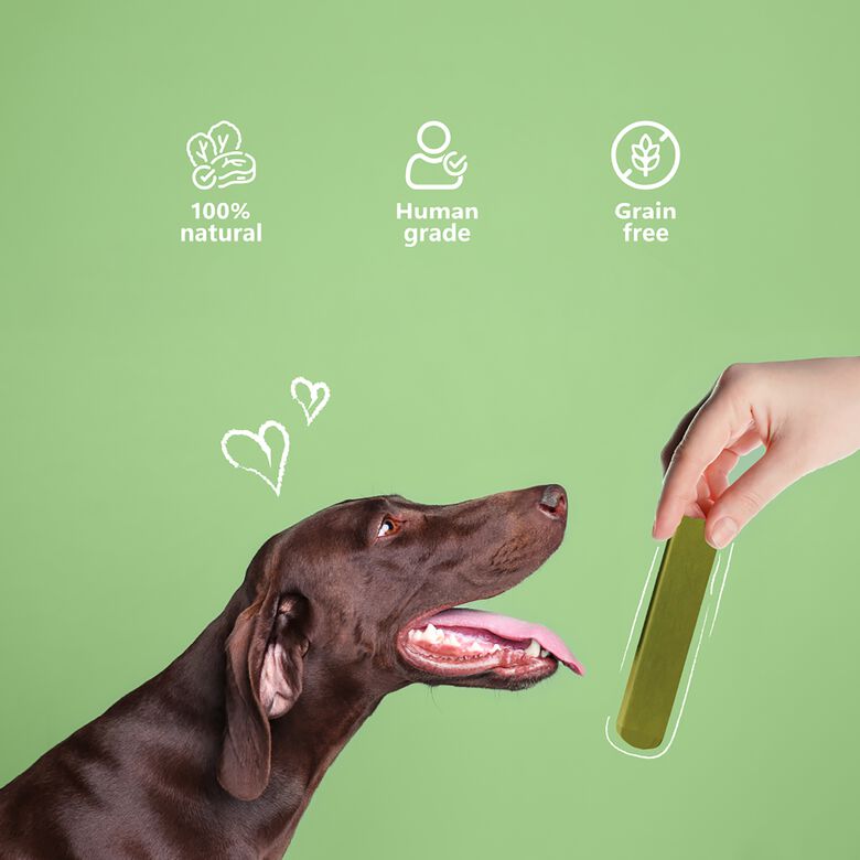 Pawfect Masticable de queso del Himalaya - Dentamust con infusión de aloe vera thumbnail