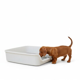 All For Paws Go Fresh Soporte Almohadillas Orina para perros