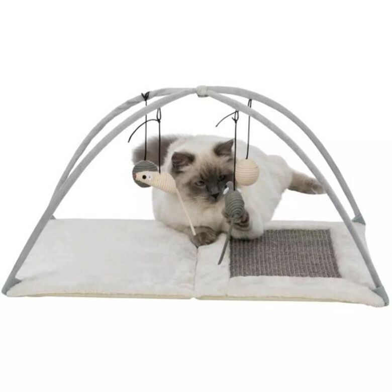 Alfombra multiactividad para gatos thumbnail