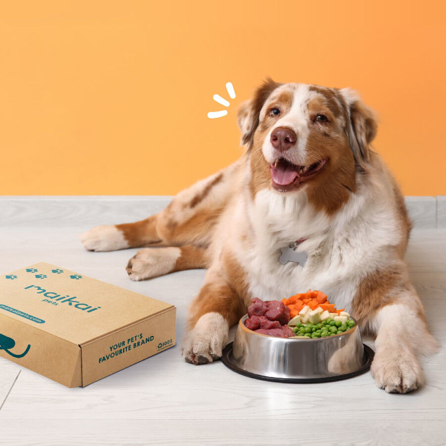 MAIKAI Pack Chuches Naturales Perro - Mordedores para Perro Dieta BARF, , large Imagen numero 4